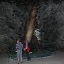 Bild (47)